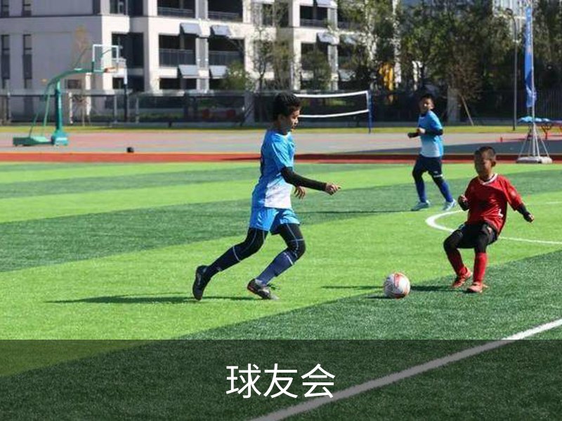 球友会简介